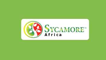 Sycamore Africa